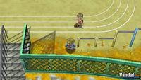 Im�genes de Harvest Moon para PSP