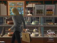 Imagen 20 de Los Sims 2 Abren Negocios para Ordenador