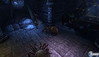 Nuevas im�genes de Dragon Age: Origins