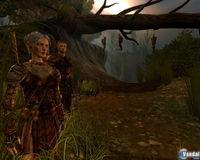 Nuevas im�genes de Dragon Age: Origins