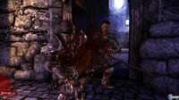 Nuevas im�genes e ilustraciones de Dragon Age Origins