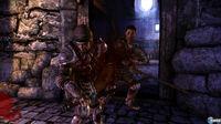 Nuevas im�genes e ilustraciones de Dragon Age Origins