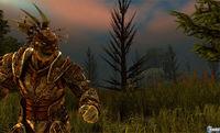 Nuevas im�genes e ilustraciones de Dragon Age Origins