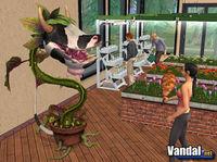 Imagen 16 de Los Sims 2 Universitarios para Ordenador
