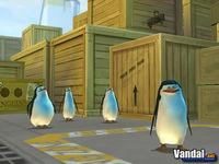 Imagen 1 de Madagascar para Ordenador