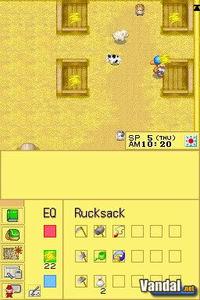 Harvest Moon DS