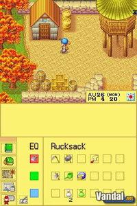 Pantalla Harvest Moon DS