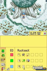 Imagen 10 de Harvest Moon DS para Nintendo DS
