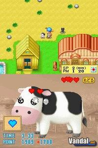 Imagen 8 de Harvest Moon DS para Nintendo DS