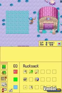 Imagen 7 de Harvest Moon DS para Nintendo DS