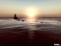 Imagen Silent Hunter 4: Wolves of the Pacific