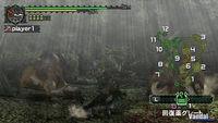 Imagen 29 de Monster Hunter Freedom para PSP