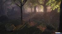 Nuevas im�genes de Fable 2