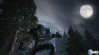 GC: Nuevas im�genes de Fable 2