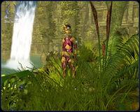 Nuevas im�genes de Sacred 2: Fallen Angel