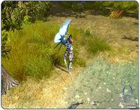 Nuevas im�genes de Sacred 2