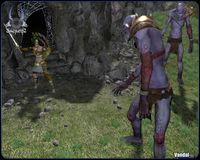 Nuevas im�genes de Sacred 2: Fallen Angel