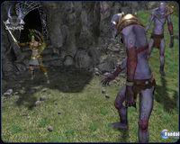 Nuevas im�genes de Sacred 2