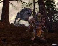 Nuevas im�genes de Warhammer Online