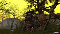 Nuevas im�genes de Warhammer Online