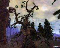 Nuevas im�genes de Warhammer Online