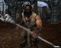 Nuevas im�genes de Warhammer Online