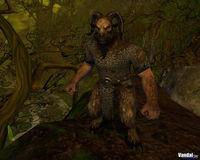 Nuevas im�genes de Warhammer Online