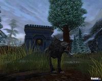 Nuevas im�genes de Warhammer Online