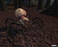 Nuevas im�genes de Warhammer Online