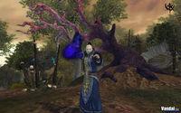 Nuevas im�genes de Warhammer Online
