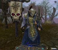 Nuevas im�genes de Warhammer Online