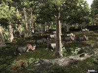 Nuevas im�genes de Gothic 3