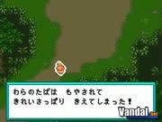 Imagen 6 de Pok�mon Ranger para Nintendo DS