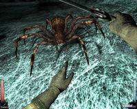 Nuevas im�genes de Dark Messiah of Might & Magic