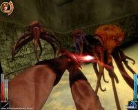 GC: Nuevas im�genes de Dark Messiah of Might & Magic
