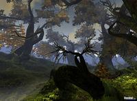 Nuevas im�genes de Age of Conan
