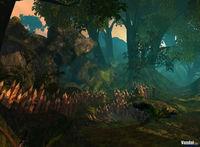 Nuevas im�genes de Age of Conan