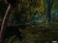 Nuevas im�genes de Age of Conan