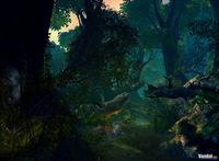 Nuevas im�genes de Age of Conan