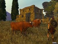 Nuevas im�genes de Age of Conan