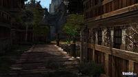 M�s im�genes de Age of Conan bajo DirectX