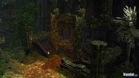 M�s im�genes de Age of Conan bajo DirectX