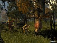 Nuevas im�genes de Age of Conan