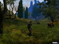 Nuevas im�genes de Age of Conan