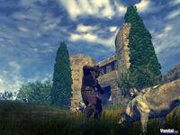 Nuevas im�genes de Age of Conan