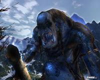E3: Nuevas im�genes y v�deo de Age of Conan