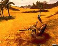 Nuevas im�genes de Age of Conan