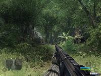 Imagen Crysis