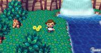 TGS: Nuevas im�genes de Animal Crossing para Wii