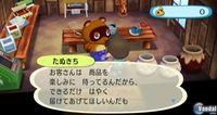 TGS: Nuevas im�genes de Animal Crossing para Wii